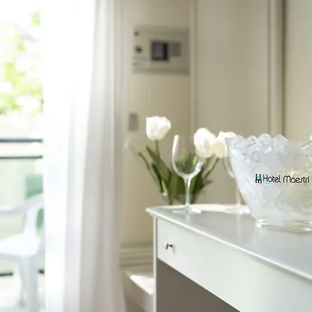 Отель Maestri 3*